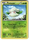 Cottonee