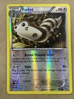Furret