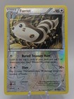 Furret