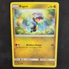Bagon