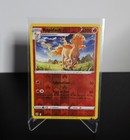 Rapidash
