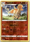 Rapidash