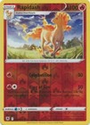 Rapidash