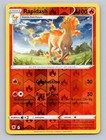 Rapidash