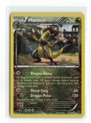 Haxorus