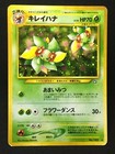 Bellossom