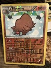 Piloswine
