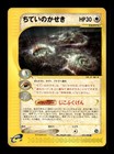 Buried Fossil