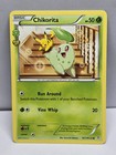 Chikorita