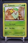 Chikorita