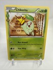 Chikorita