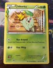 Chikorita