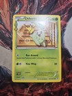 Chikorita