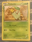 Chikorita