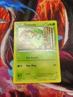 Chikorita