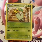 Chikorita