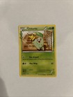 Chikorita