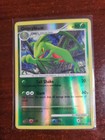 Grovyle