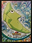 Metapod