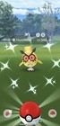 Hoothoot