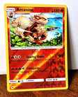Arcanine