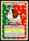 Pidgey