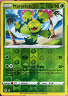 Maractus