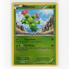 Maractus