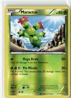 Maractus