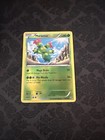 Maractus