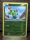 Maractus