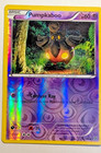 Pumpkaboo