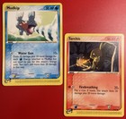 Torchic