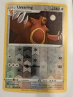 Ursaring
