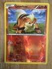 Growlithe