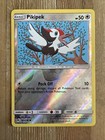 Pikipek