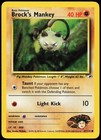 Brock's Mankey