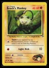 Brock's Mankey