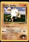 Brock's Mankey