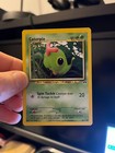 Caterpie