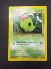 Caterpie