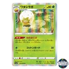 Eldegoss