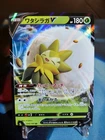 Eldegoss V