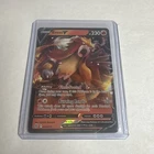 Entei V