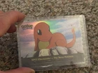 Charmander-the Stray Pokemon