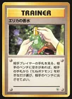 Erika's Perfume