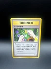 Erika's Perfume
