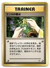 Erika's Perfume