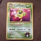 Erika's Victreebel