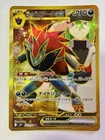 N's Zoroark Ex